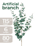 Architectural Silver Dollar Eucalyptus – 115cm Gray-Green Decorative Branch