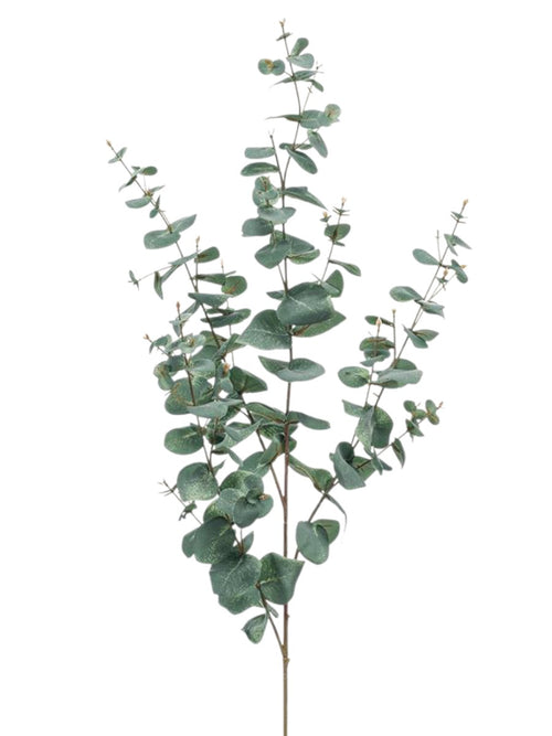 Architectural Silver Dollar Eucalyptus – 115cm Gray-Green Decorative Branch