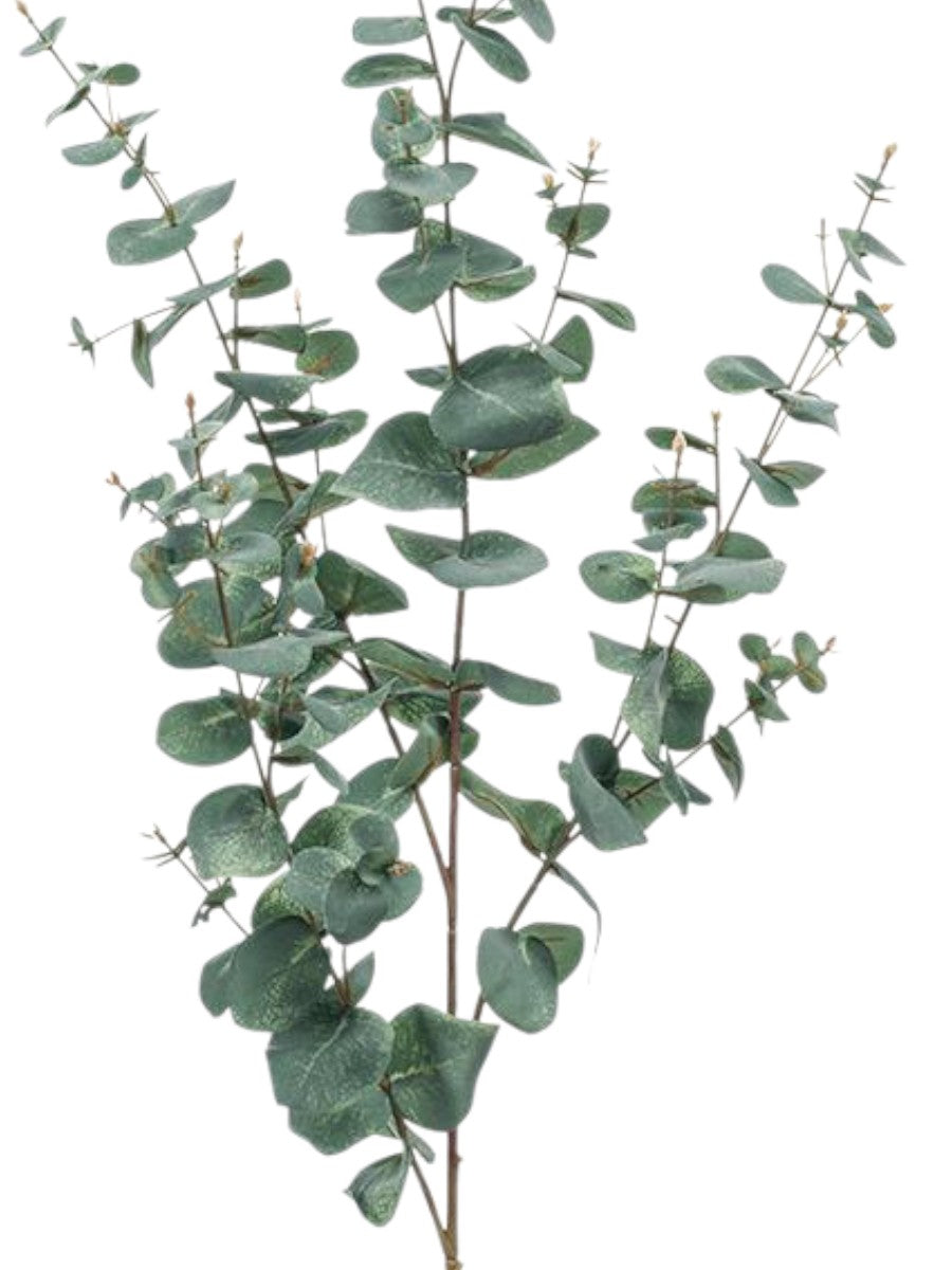 Architectural Silver Dollar Eucalyptus – 115cm Gray-Green Decorative Branch