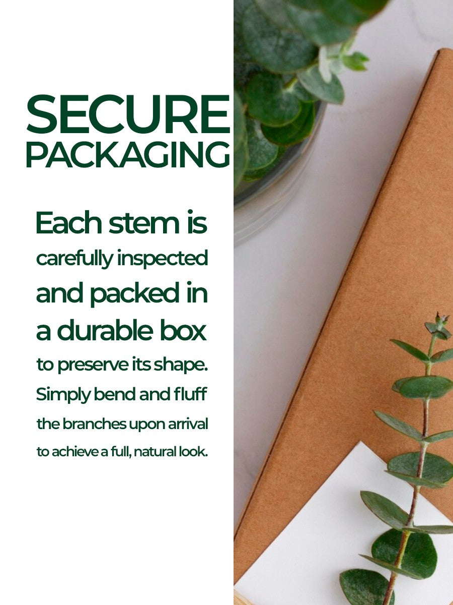 Architectural Silver Dollar Eucalyptus – 115cm Gray-Green Decorative Branch