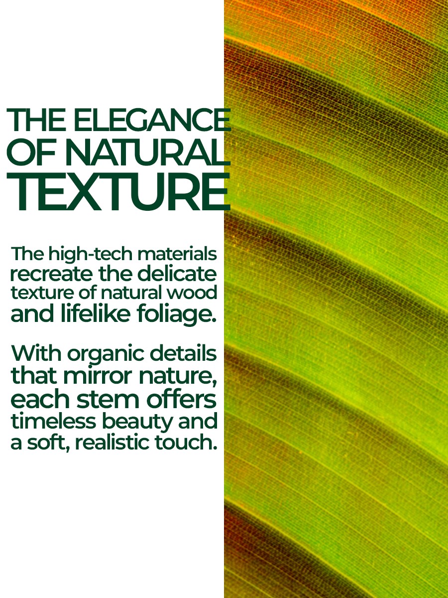 Architectural Silver Dollar Eucalyptus – 115cm Gray-Green Decorative Branch