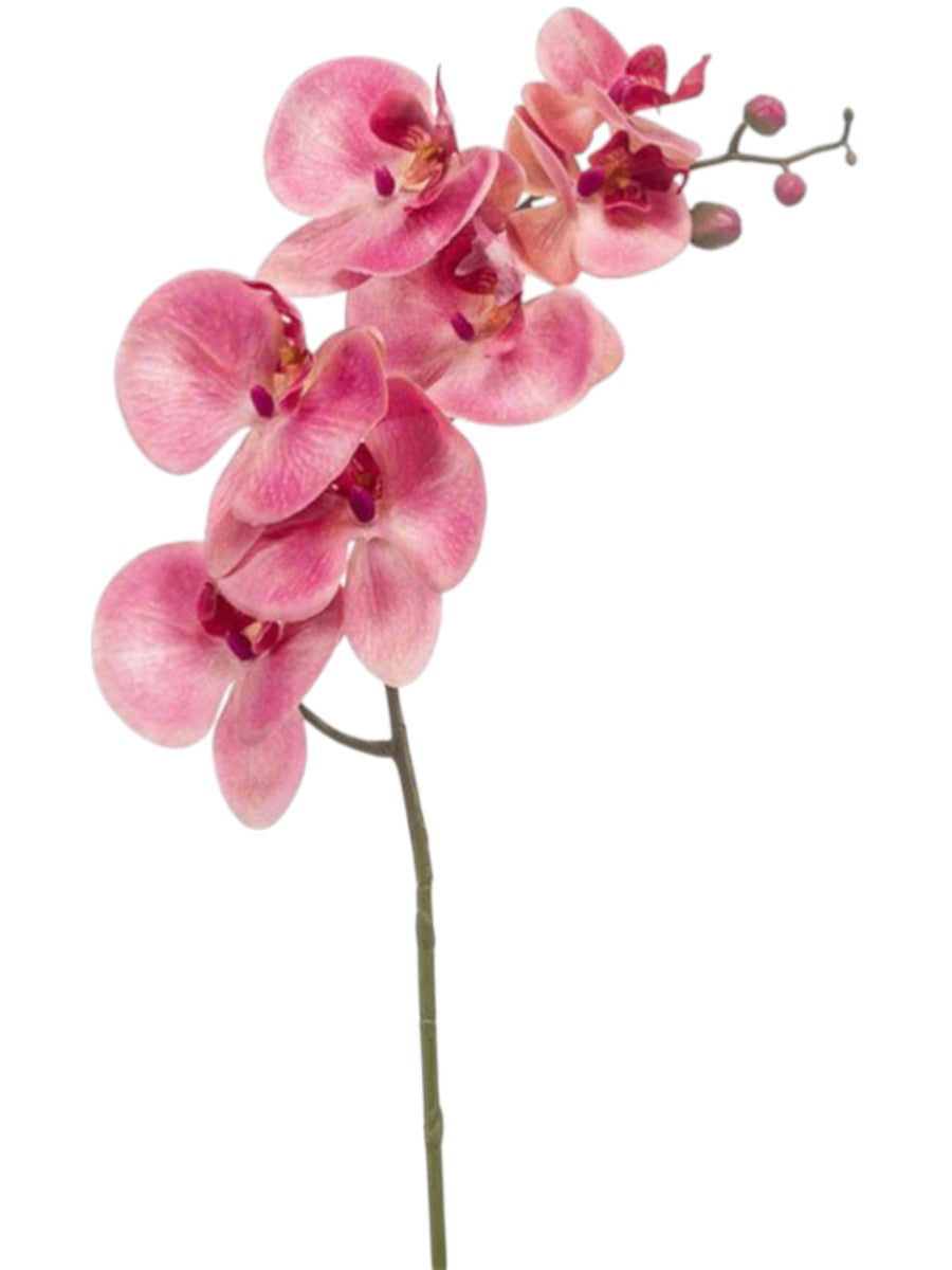 Luxe Pink Phalaenopsis Orchid – 83cm Realistic Silk Branch