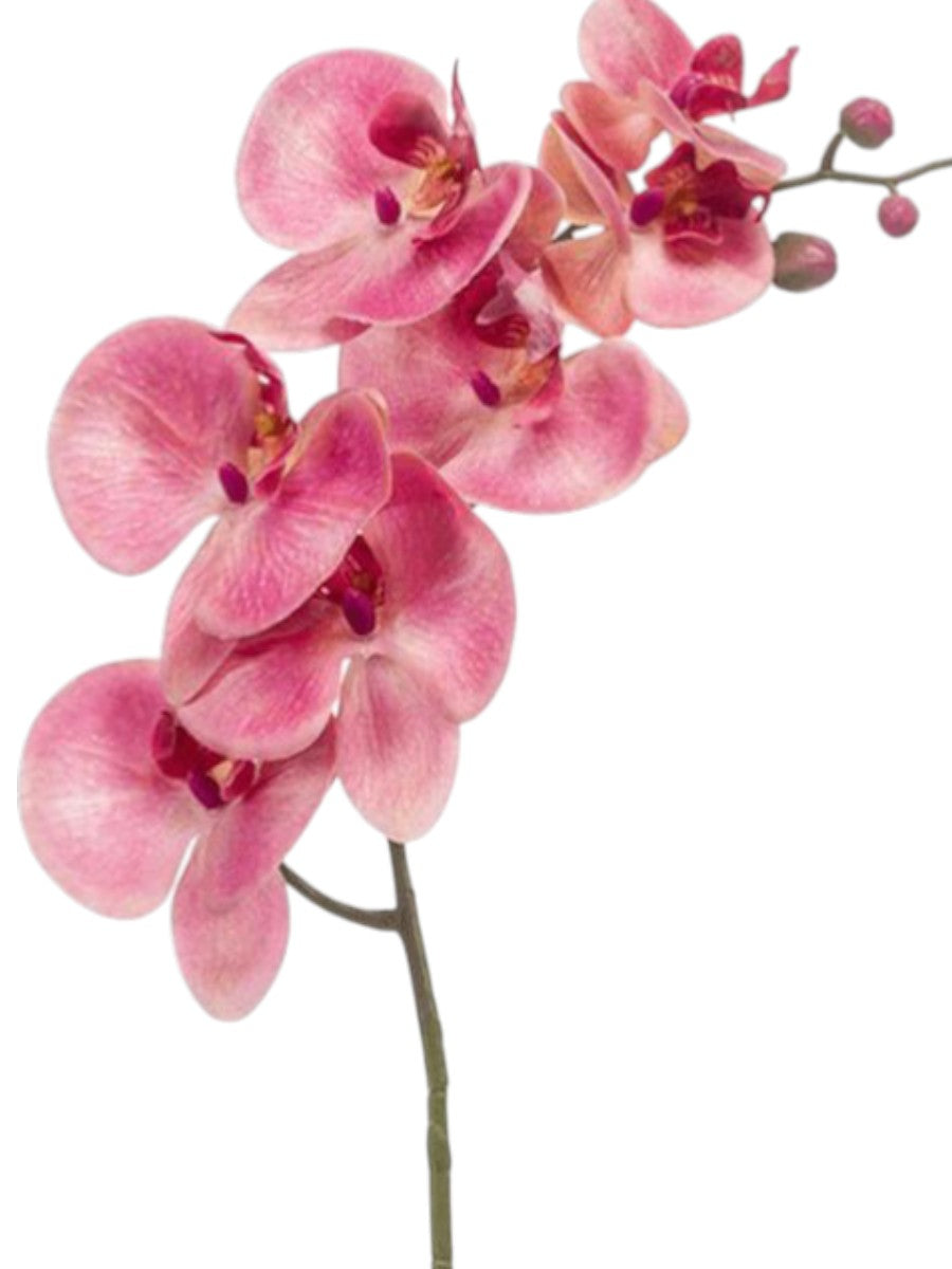 Luxe Pink Phalaenopsis Orchid – 83cm Realistic Silk Branch