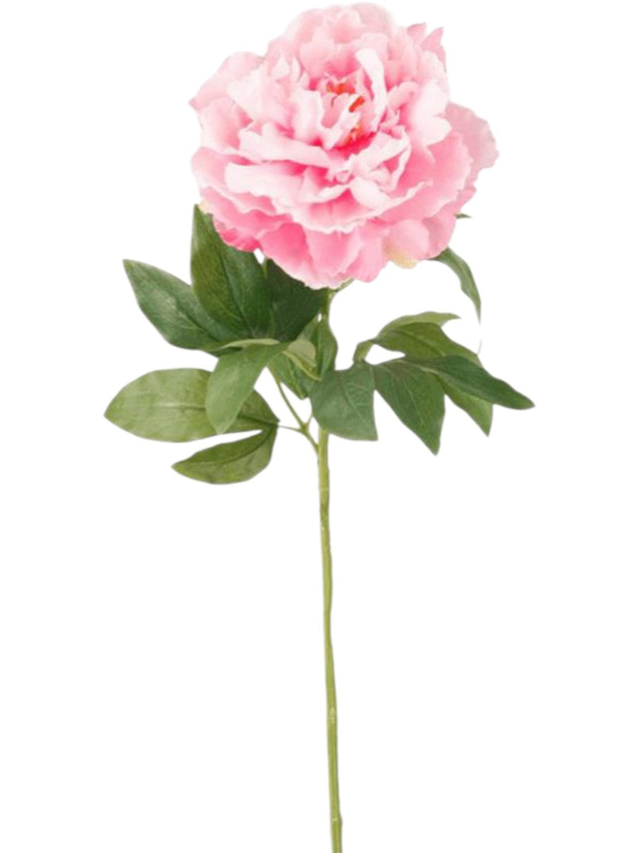 Romantic Blush Peony – 65cm High-Definition Silk Floral Stem