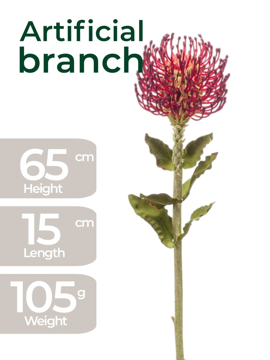 Artisanal Burgundy Nodding Melic – 65cm Architectural Grass Stem