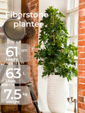 Fiberstone 61cm Architectural Square Column Planter