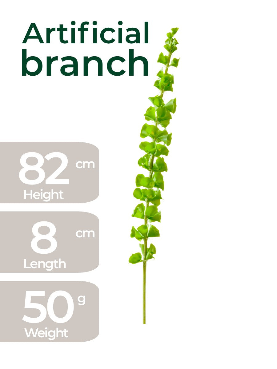Architectural Green Moluccella (Bells of Ireland) – 82cm Realistic Floral Stem