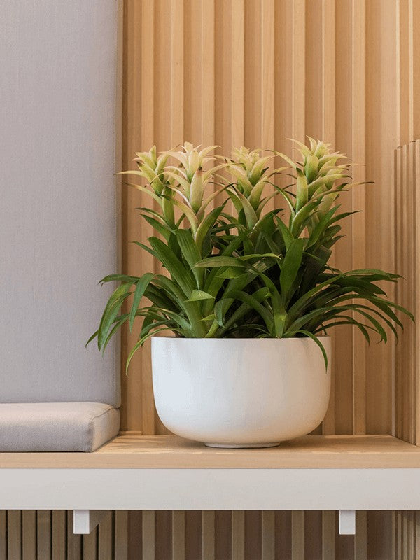 Fiberstone 24cm Architectural Round Basin