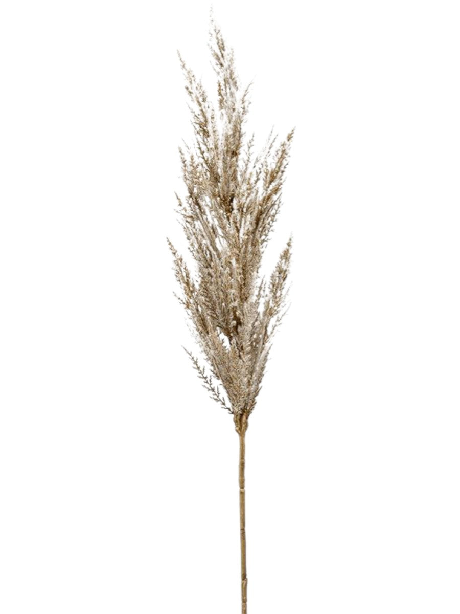 Nordic Cream Pampas Grass – 92cm Premium Minimalist Plume