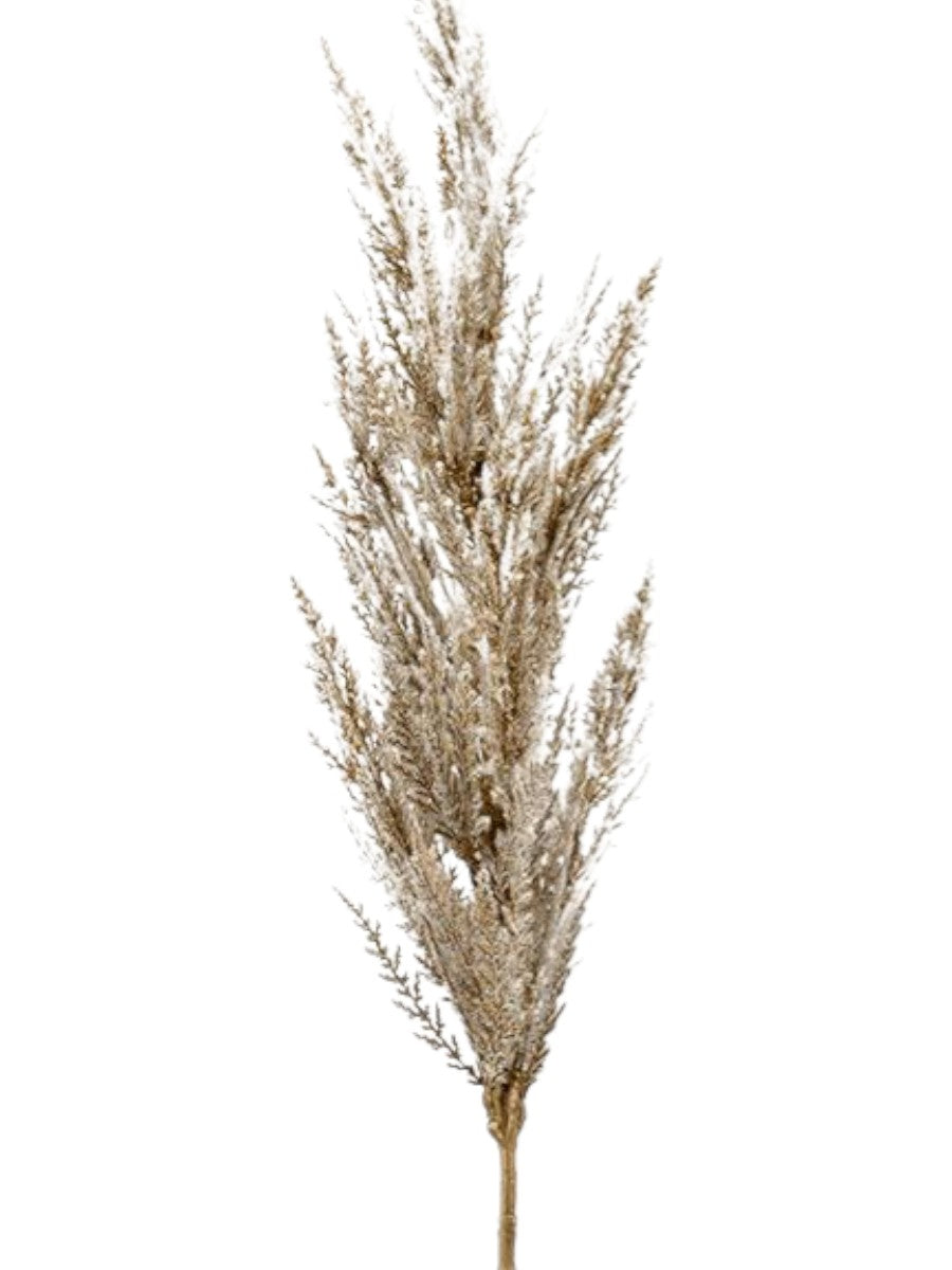 Nordic Cream Pampas Grass – 92cm Premium Minimalist Plume