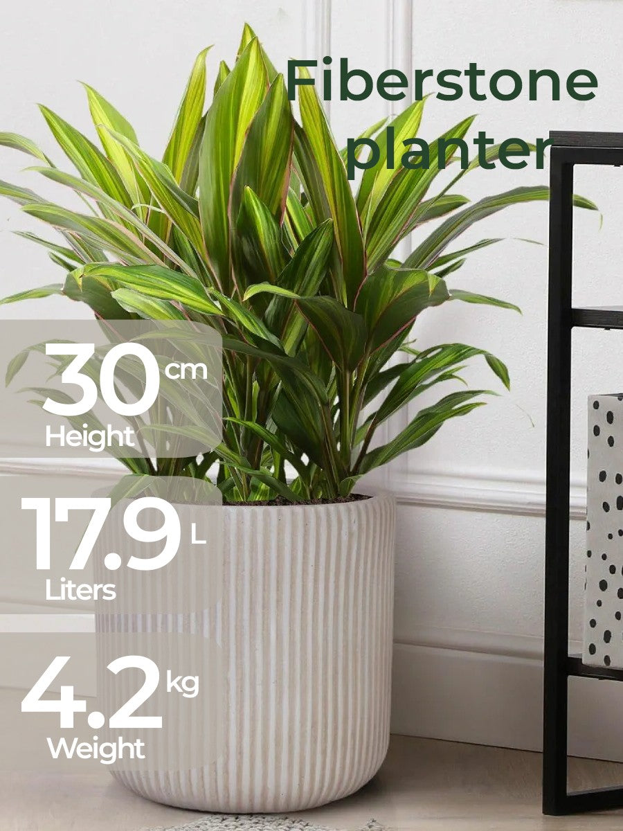 Fiberstone 30cm Architectural Ribbed Planter