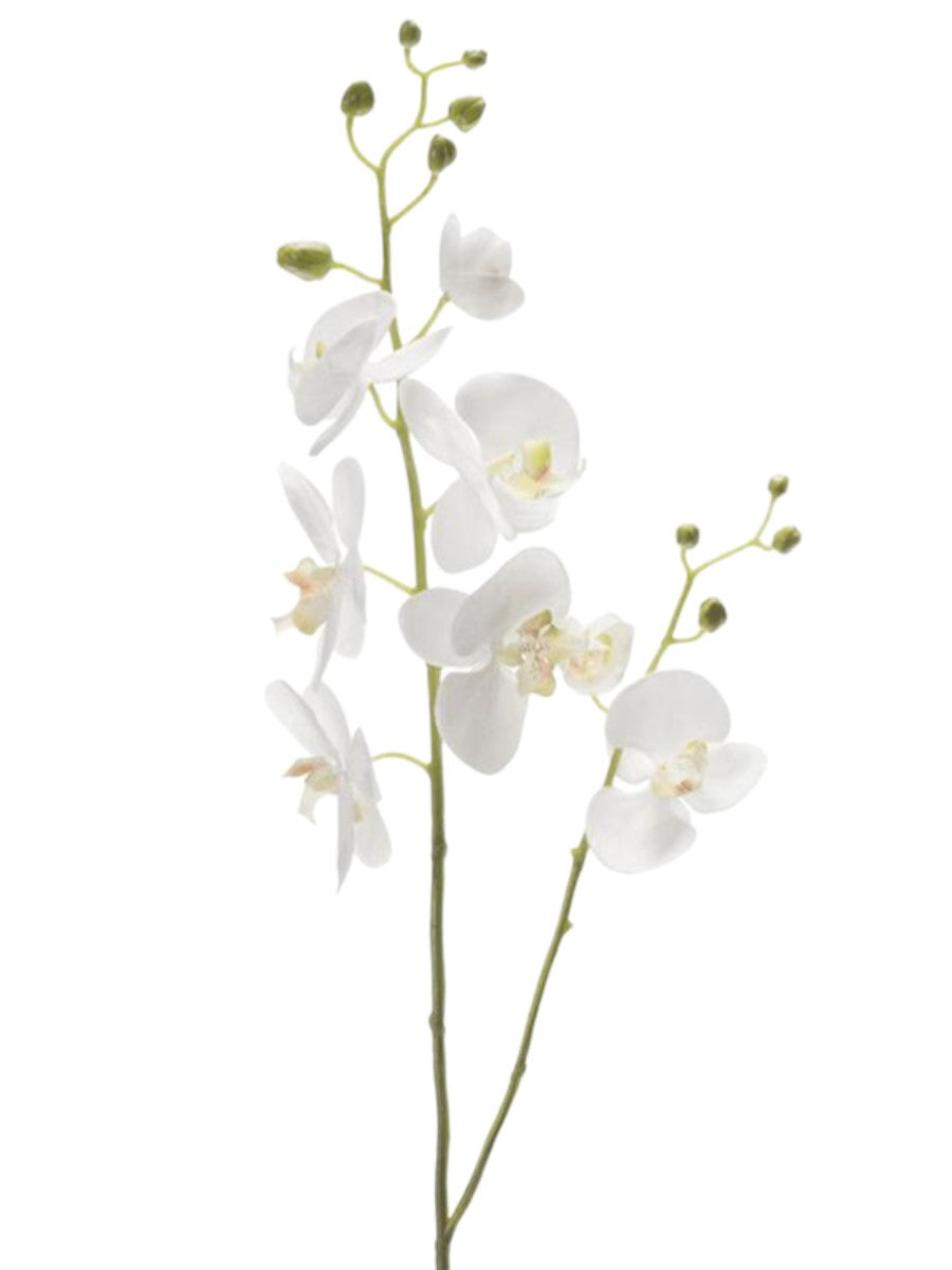 Imperial White Phalaenopsis Orchid – 95cm High-Definition Silk Branch