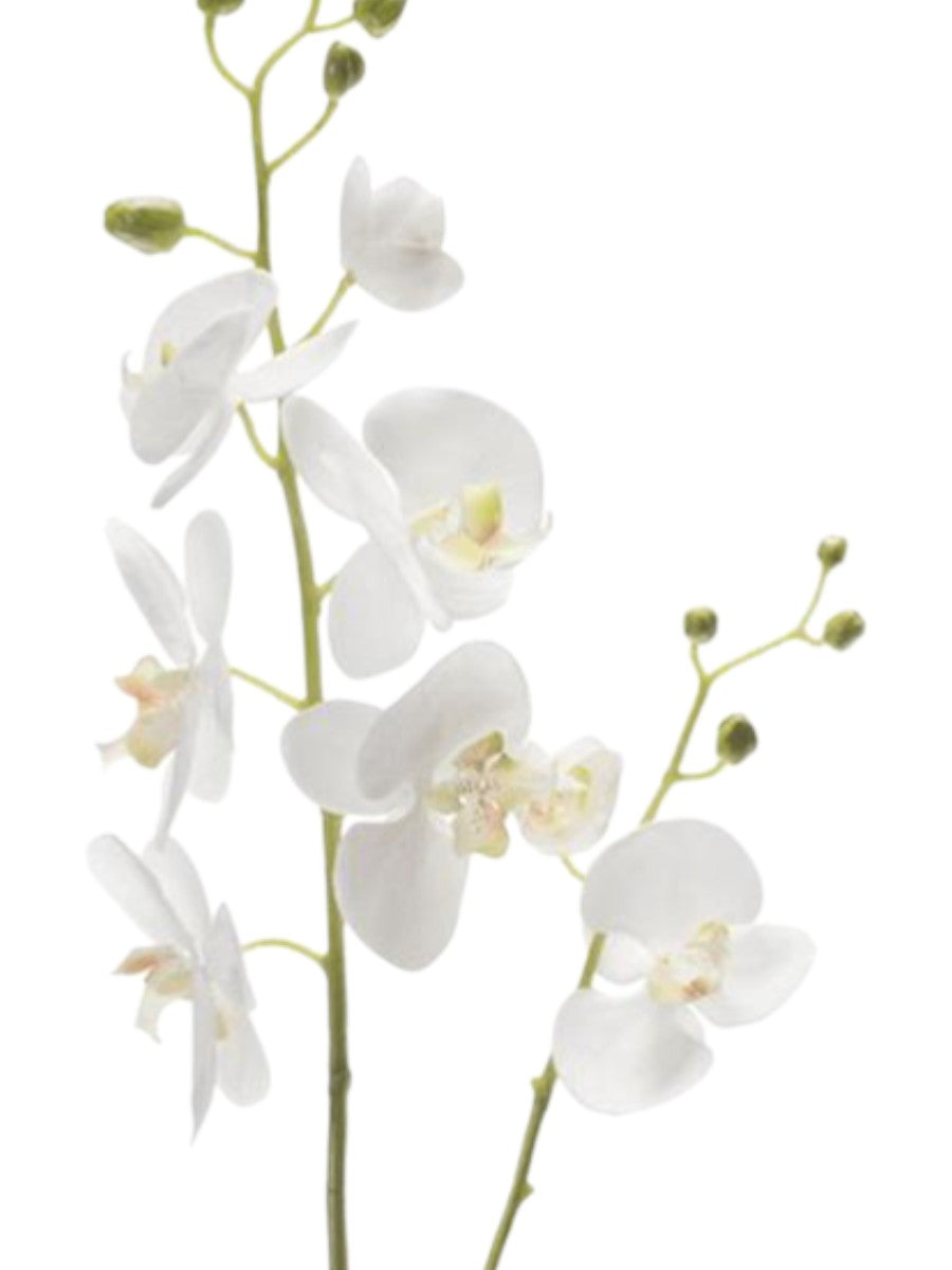 Imperial White Phalaenopsis Orchid – 95cm High-Definition Silk Branch